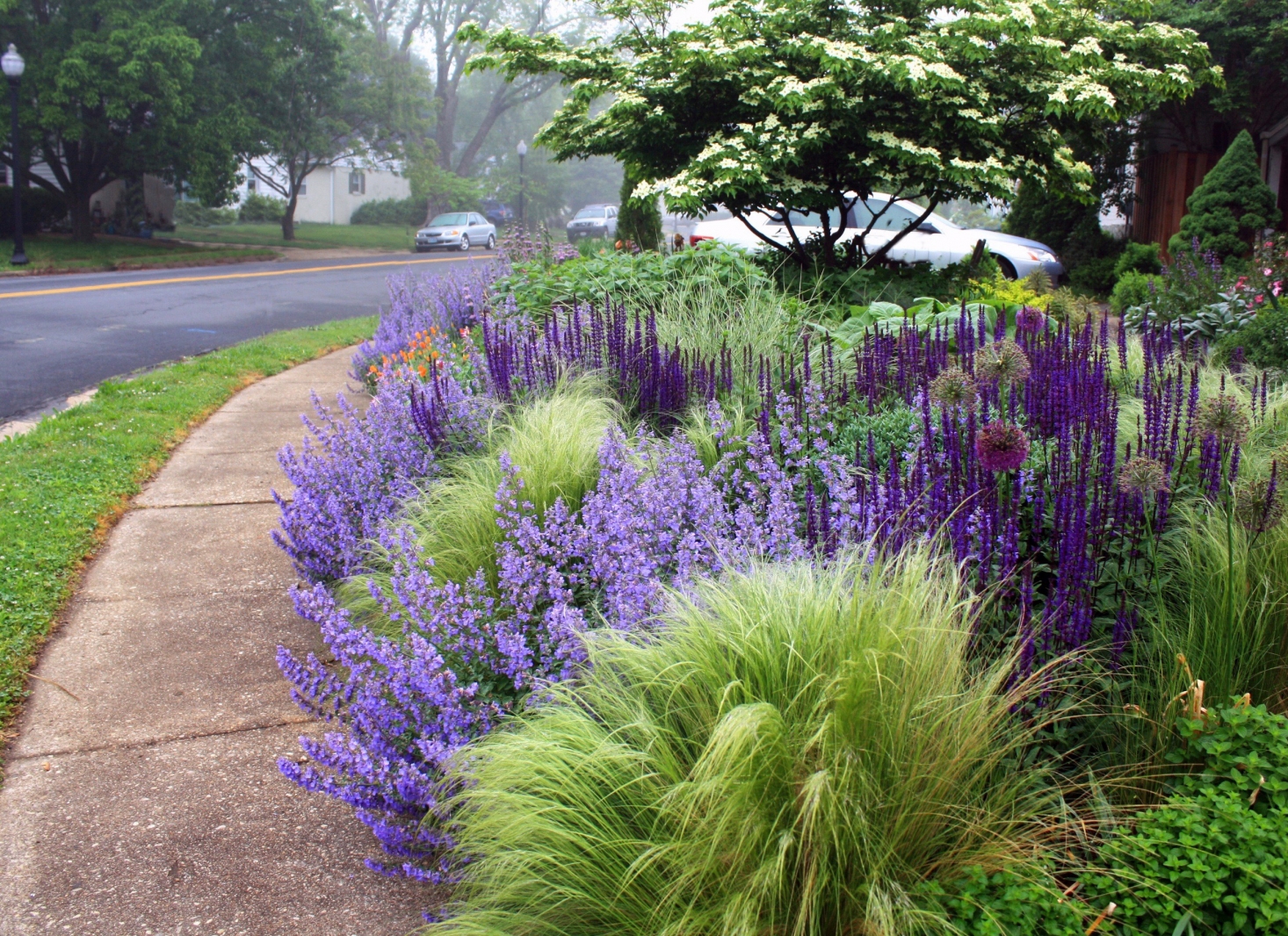 Inspired by Nature’s Layers: but not hung up on natives only. perennials-si...